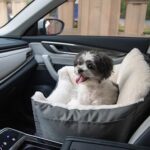 Best Dog Car Seats​