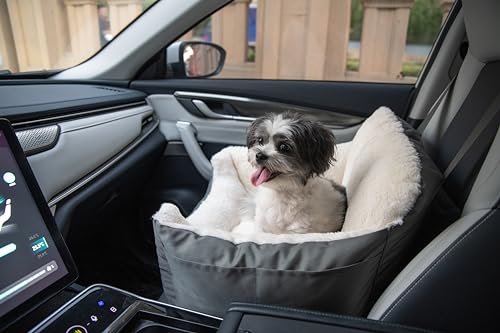 Best Dog Car Seats​